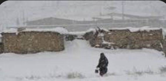 افغانستان میں برفباری سے 15 افراد ھلاک 30 زخمی، 10 ہزار مویشی ہلاک