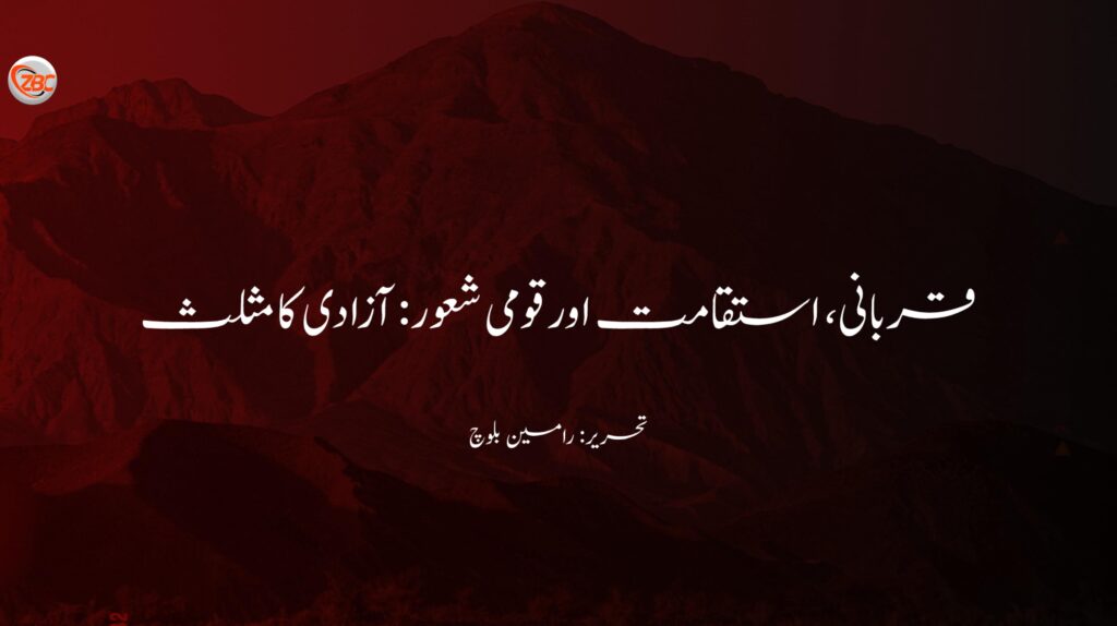 قربانی، استقامت اور قومی شعور: آزادی کا مثلث