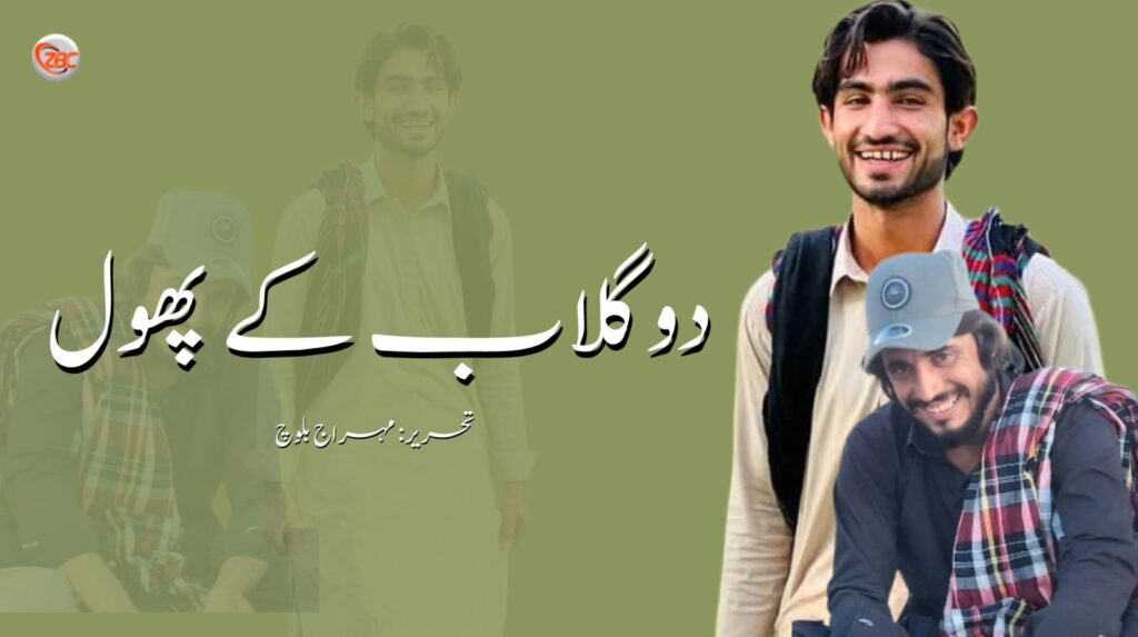 دو گلاب کے پھول