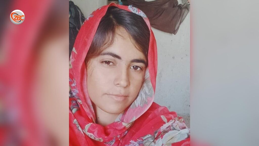 نسرینہ بلوچ کی جبری گمشدگی باعث تشویش ہے، فوری باحفاظت بازیابی کا مطالبہ کرتے ہیں۔ نصراللہ بلوچ