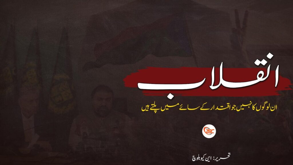 انقلاب ان لوگوں کا نہیں جو اقتدار کے سائے میں پلتے ہیں